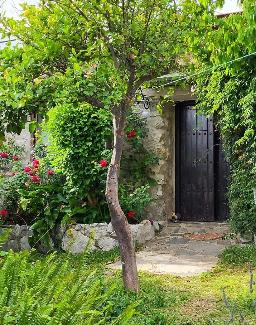Casa Nani Βίλα Benaocaz Σπίτι διακοπών